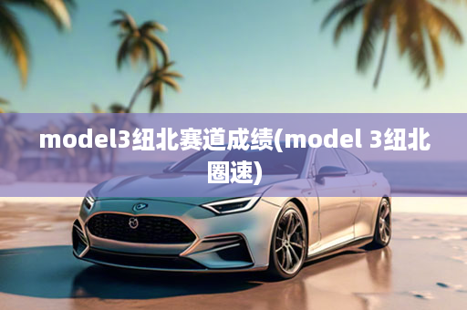 model3纽北赛道成绩(model 3纽北圈速)