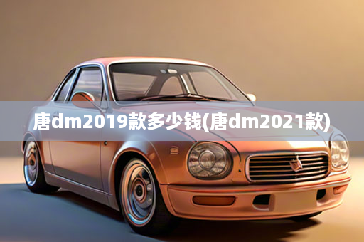 唐dm2019款多少钱(唐dm2021款)