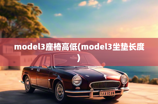 model3座椅高低(model3坐垫长度)