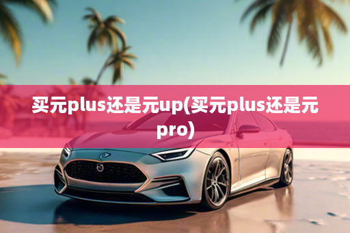 买元plus还是元up(买元plus还是元pro)