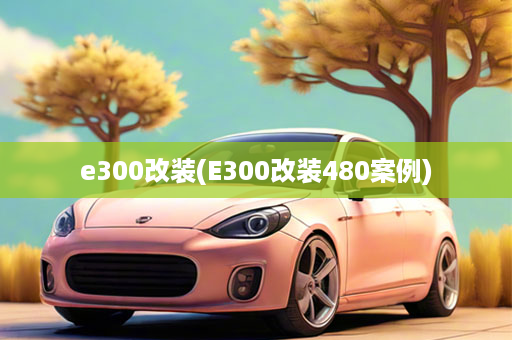 e300改装(E300改装480案例)