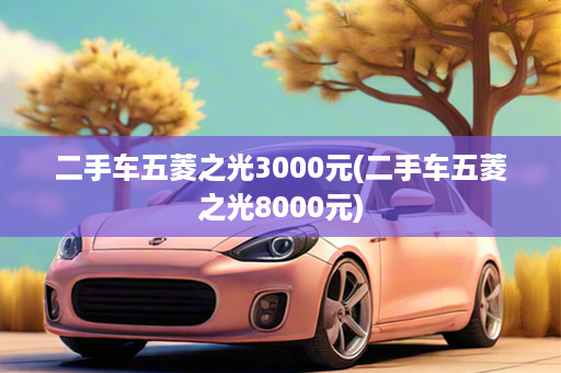 二手车五菱之光3000元(二手车五菱之光8000元)