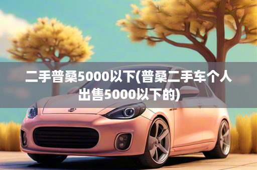 二手普桑5000以下(普桑二手车个人出售5000以下的)