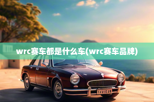 wrc赛车都是什么车(wrc赛车品牌)