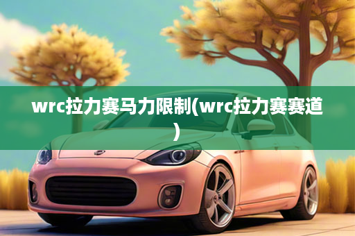 wrc拉力赛马力限制(wrc拉力赛赛道)