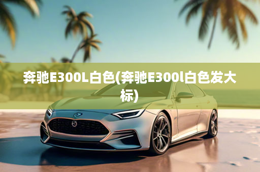 奔驰E300L白色(奔驰E300l白色发大标)