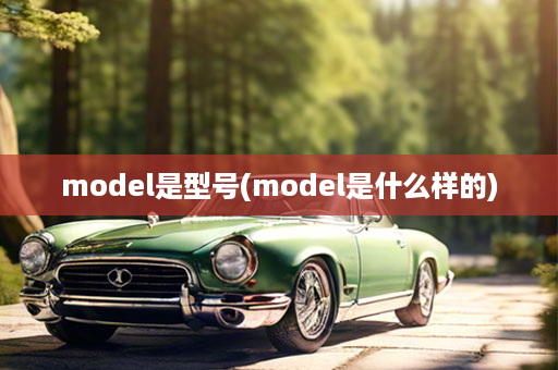 model是型号(model是什么样的)