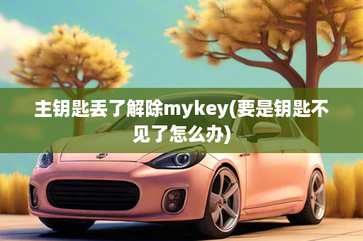 主钥匙丢了解除mykey(要是钥匙不见了怎么办)