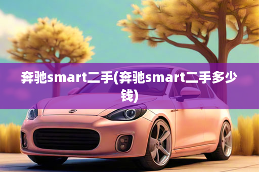 奔驰smart二手(奔驰smart二手多少钱)