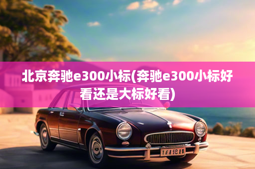 北京奔驰e300小标(奔驰e300小标好看还是大标好看)