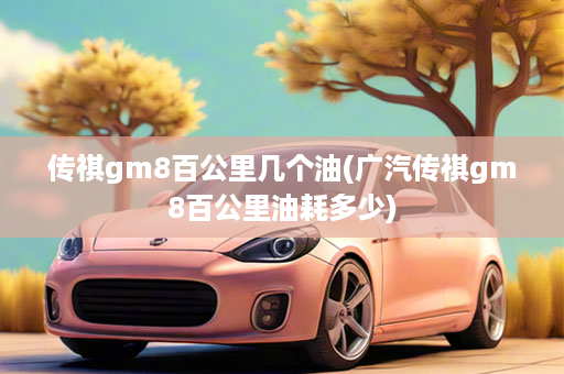 传祺gm8百公里几个油(广汽传祺gm8百公里油耗多少)