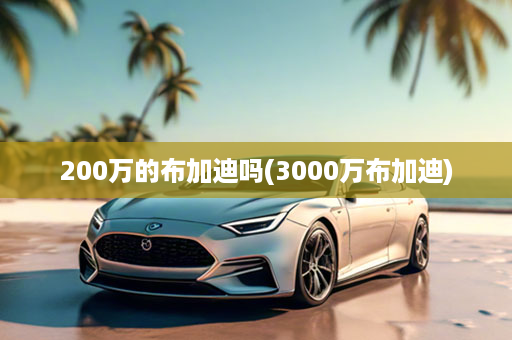 200万的布加迪吗(3000万布加迪)