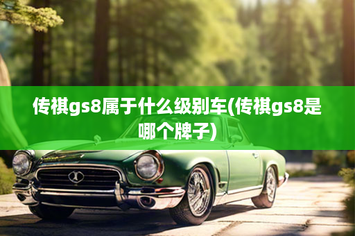 传祺gs8属于什么级别车(传祺gs8是哪个牌子)