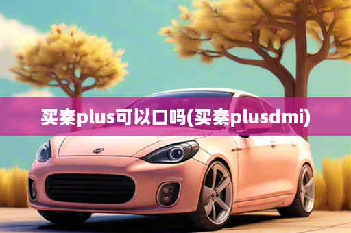 买秦plus可以口吗(买秦plusdmi)