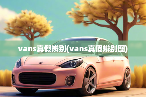 vans真假辨别(vans真假辨别图)