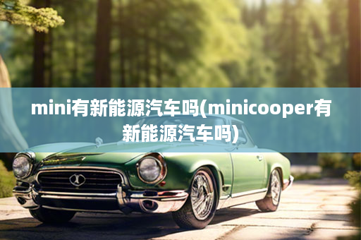 mini有新能源汽车吗(minicooper有新能源汽车吗)