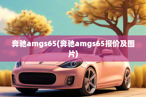 奔驰amgs65(奔驰amgs65报价及图片)