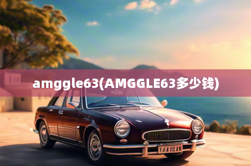 amggle63(AMGGLE63多少钱)