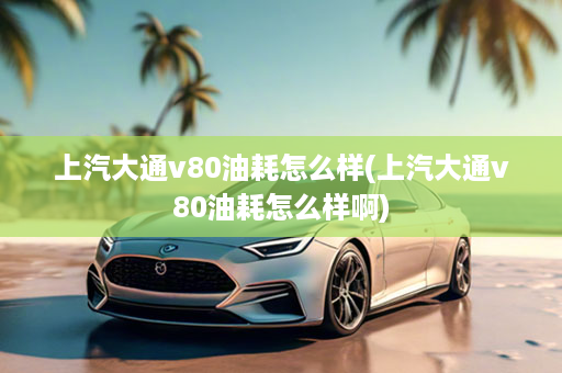 上汽大通v80油耗怎么样(上汽大通v80油耗怎么样啊)