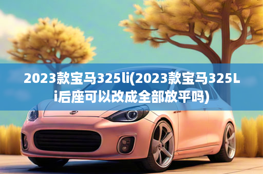 2023款宝马325li(2023款宝马325Li后座可以改成全部放平吗)