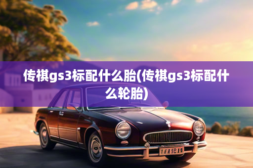 传祺gs3标配什么胎(传祺gs3标配什么轮胎)