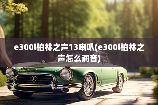 e300l柏林之声13喇叭(e300l柏林之声怎么调音)