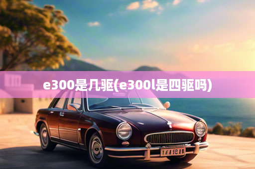 e300是几驱(e300l是四驱吗)