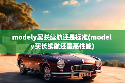 modely买长续航还是标准(model y买长续航还是高性能)