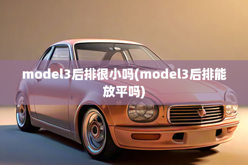 model3后排很小吗(model3后排能放平吗)