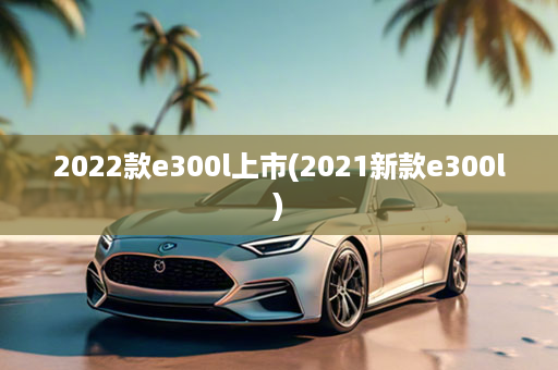 2022款e300l上市(2021新款e300l)