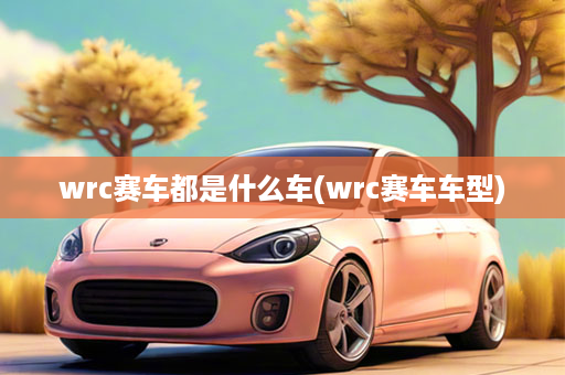 wrc赛车都是什么车(wrc赛车车型)