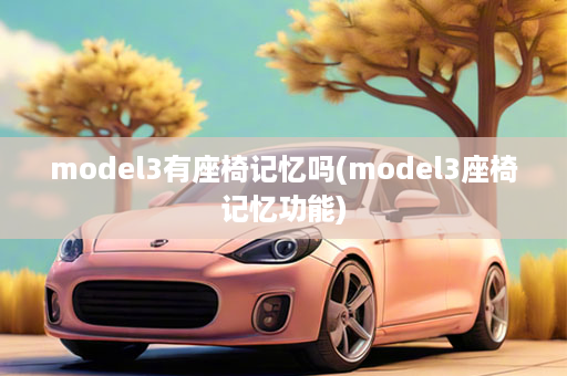 model3有座椅记忆吗(model3座椅记忆功能)