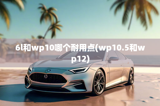 6l和wp10哪个耐用点(wp10.5和wp12)