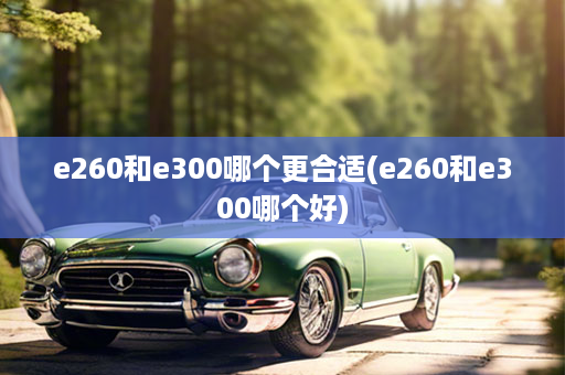 e260和e300哪个更合适(e260和e300哪个好)