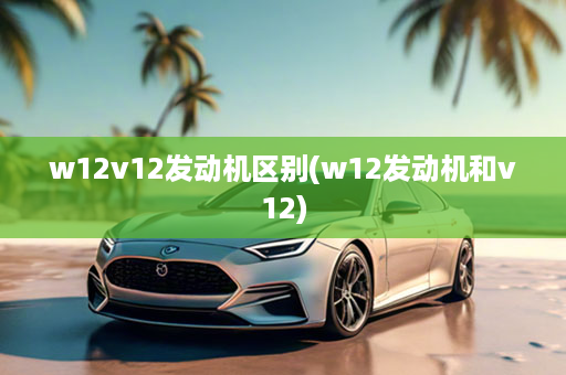 w12v12发动机区别(w12发动机和v12)