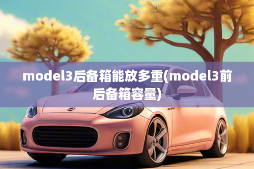 model3后备箱能放多重(model3前后备箱容量)