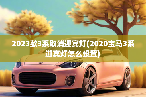 2023款3系取消迎宾灯(2020宝马3系迎宾灯怎么设置)