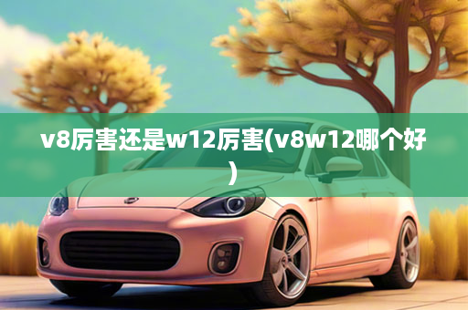 v8厉害还是w12厉害(v8w12哪个好)