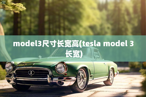 model3尺寸长宽高(tesla model 3 长宽)