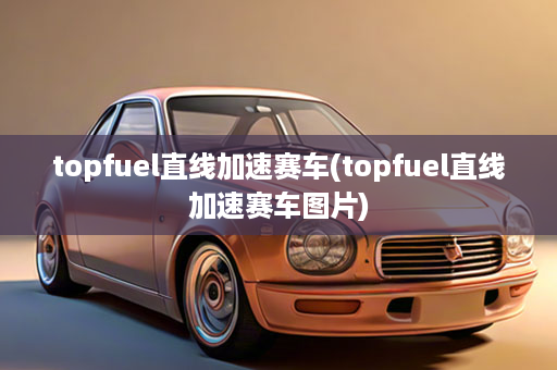 topfuel直线加速赛车(topfuel直线加速赛车图片)