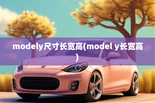 modely尺寸长宽高(model y长宽高)