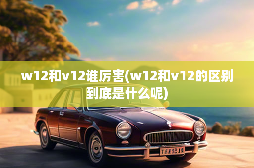 w12和v12谁厉害(w12和v12的区别到底是什么呢)