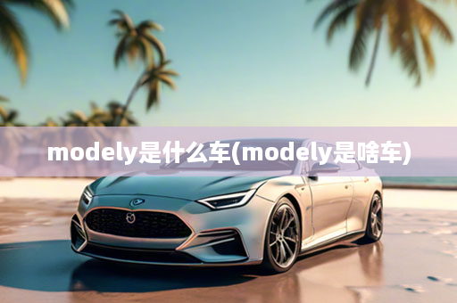 modely是什么车(modely是啥车)