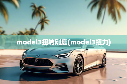 model3扭转刚度(model3扭力)