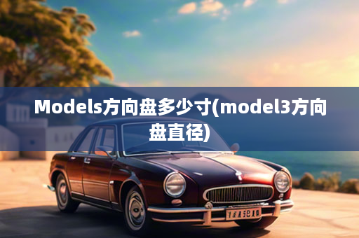 Models方向盘多少寸(model3方向盘直径)