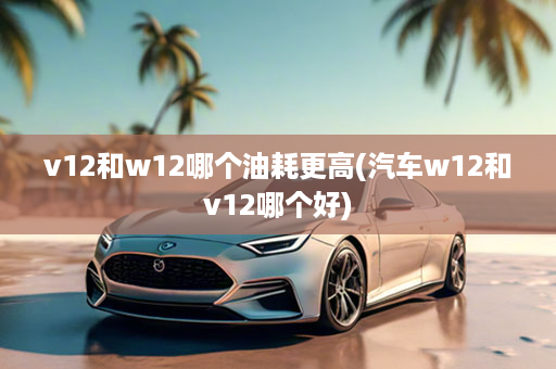 v12和w12哪个油耗更高(汽车w12和v12哪个好)