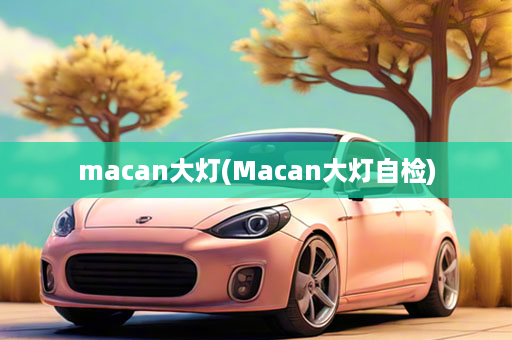 macan大灯(Macan大灯自检)