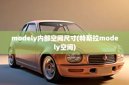 modely内部空间尺寸(特斯拉modely空间)