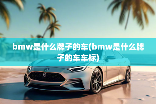 bmw是什么牌子的车(bmw是什么牌子的车车标)