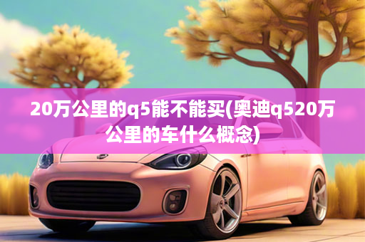 20万公里的q5能不能买(奥迪q520万公里的车什么概念)